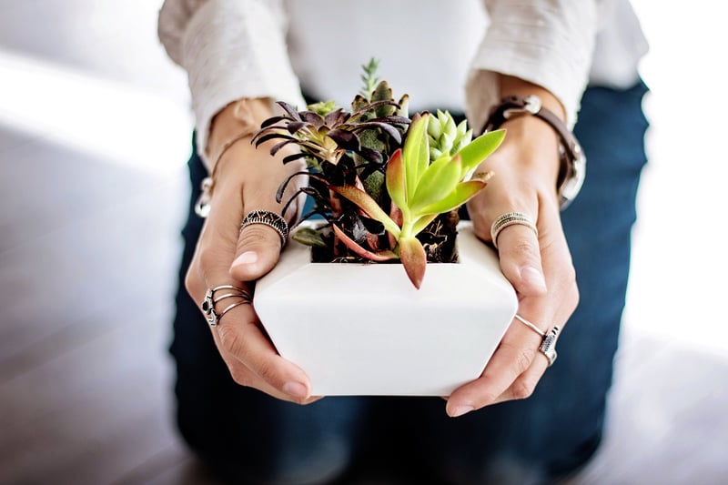 Geometric Planters